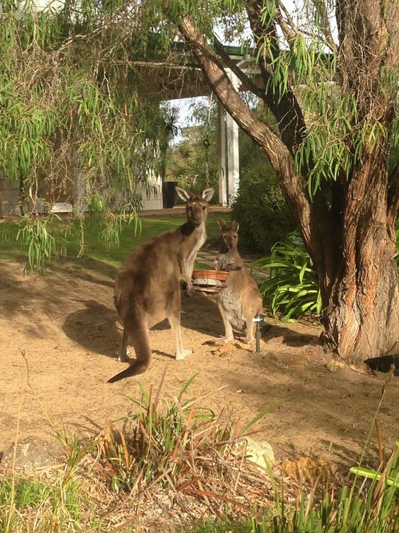 Llewellin'S Guest House Margaret River Buitenkant foto