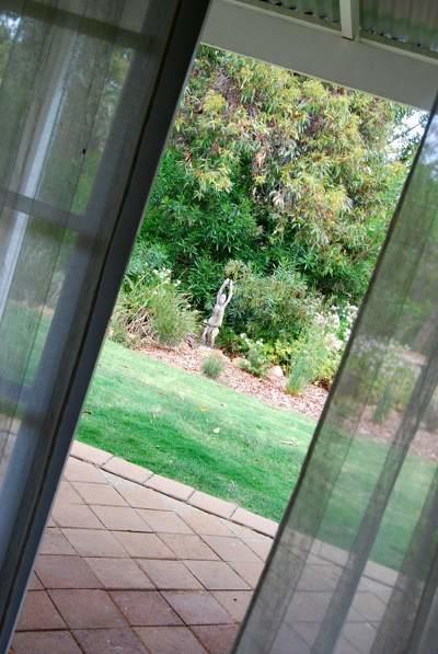 Llewellin'S Guest House Margaret River Buitenkant foto